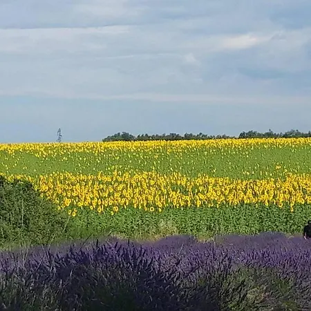 Lou Paradiú Du Verdon *