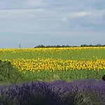 Lou Paradiu Du Verdon *