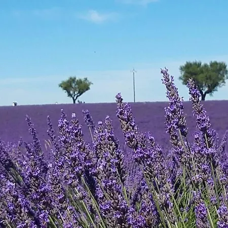 Lou Paradiu Du Verdon Allemagne-en-Provence